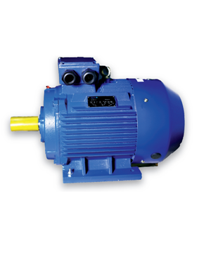 YE3 Series three-phase asynchronous motor (High efficiency)